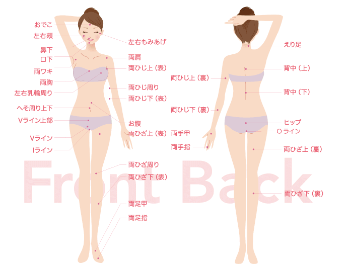 C3シースリー栄店は全身53ヶ所脱毛